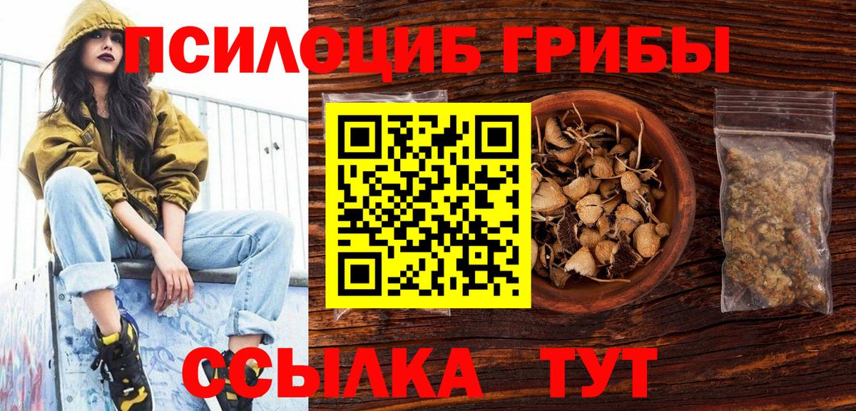 Псилоцибиновые грибы GOLDEN TEACHER Новоалександровск