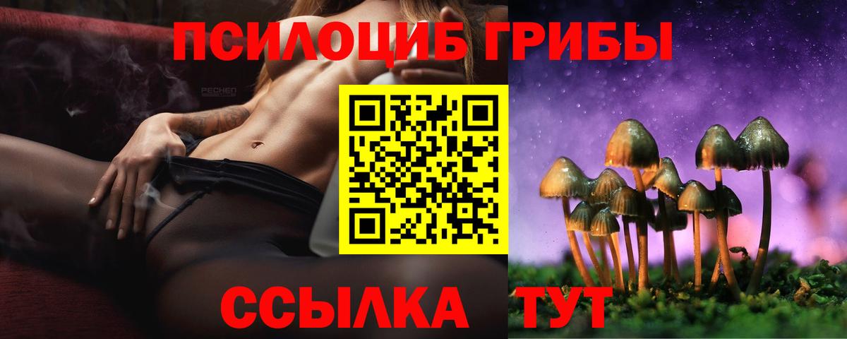 Новоалександровск  Галлюциногенные грибы MAGIC MUSHROOMS  Вход с VPN 